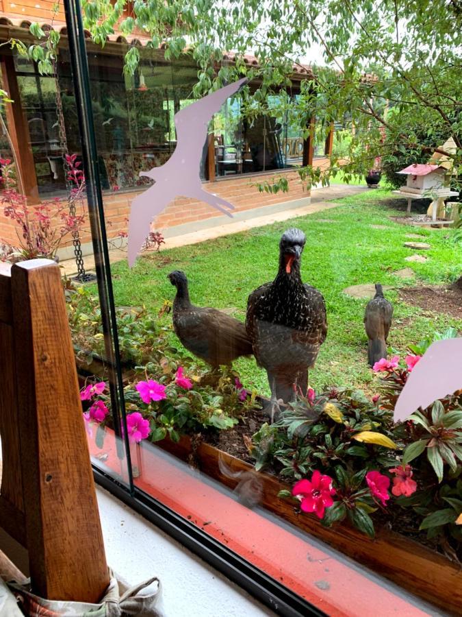 Aconchegante Casa Em Monte Verde Monte Verde  Luaran gambar