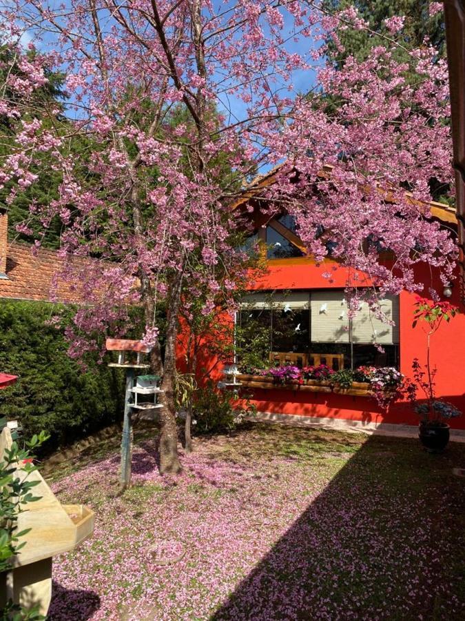 Aconchegante Casa Em Monte Verde Monte Verde  Luaran gambar